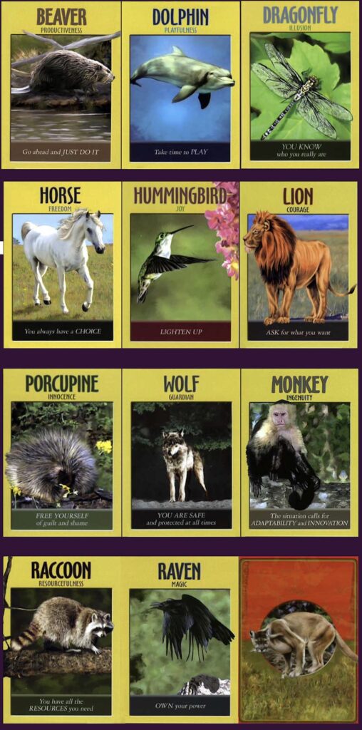 Power_animal_card_examples